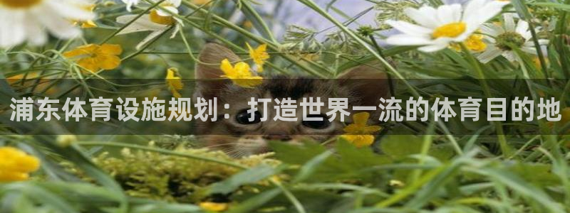 意昂体育3平台是正规平台吗：浦东体育设施规划：打造世