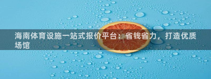 意昂体育3娱乐：海南体育设施一站式报价平台：省钱省力