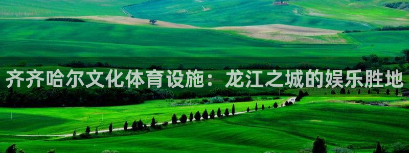意昂体育3平台假的吗是真的吗吗：齐齐哈尔文化体育设施