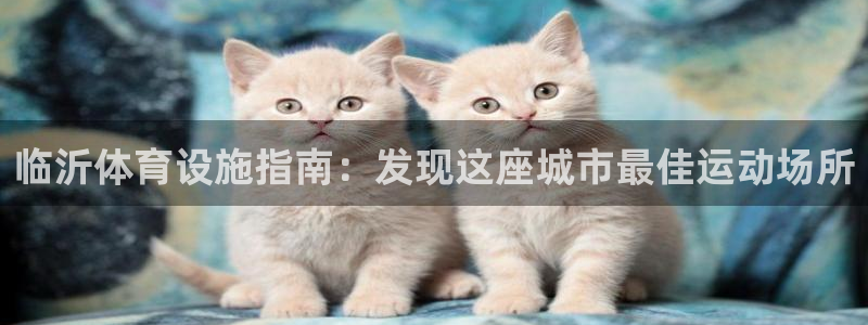 意昂3集团：临沂体育设施指南：发现这座城市最佳运动场