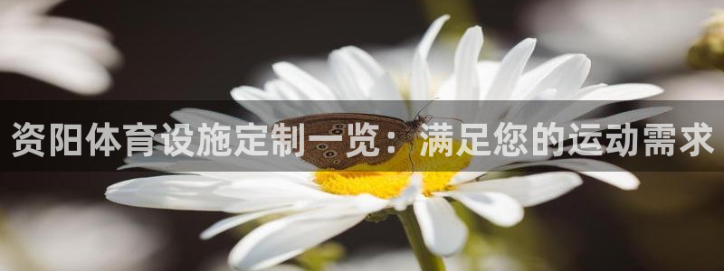 意昂体育3开户：资阳体育设施定制一览：满足您的运动需