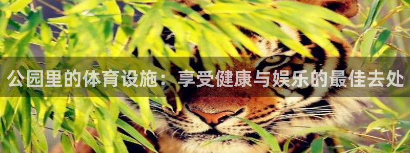 意昂体育3平台APP