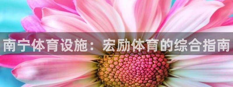 意昂3娱乐代理怎么样：南宁体育设施：宏励体育的综合指
