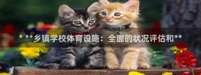 意昂3官方：* **乡镇学校体育设施：全面的状况评估