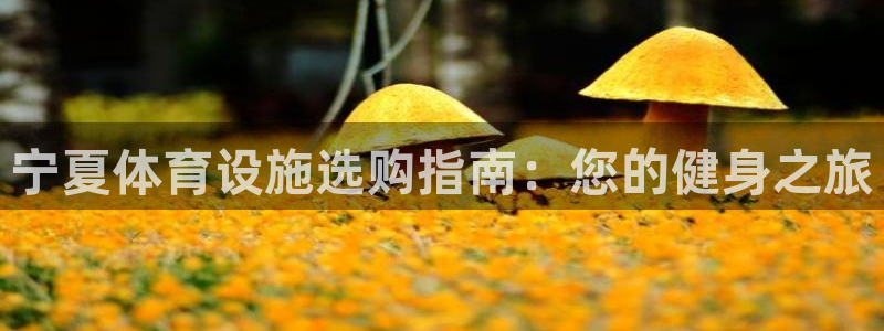 意昂3集团官网首页：宁夏体育设施选购指南：您的健身之