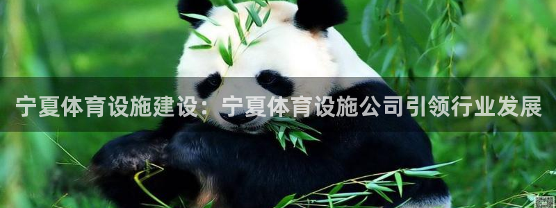 意昂体育3招商电话：宁夏体育设施建设：宁夏体育设施公