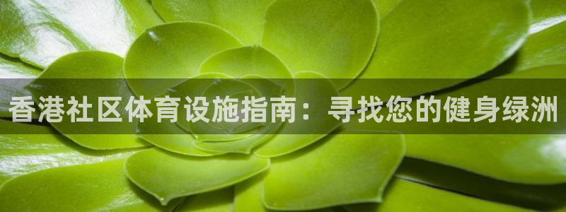 意昂体育3招商电话是多少号码：香港社区体育设施指南：