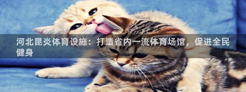 意昂体育3招商电话地址：河北昆炎体育设施：打造省内一