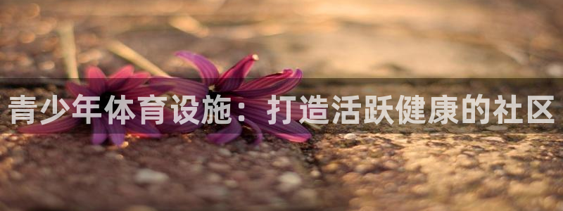 意昂体育3平台：青少年体育设施：打造活跃健康的社区