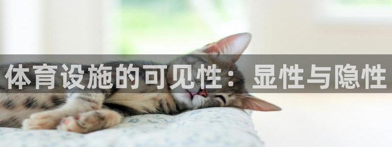 意昂3娱乐平台