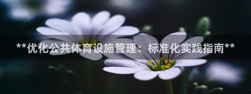 意昂体育3平台注册流程图：**优化公共体育设施管理：