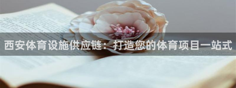意昂3集团E.ON