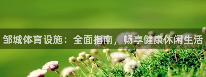 意昂3神州：邹城体育设施：全面指南，畅享健康休闲生活