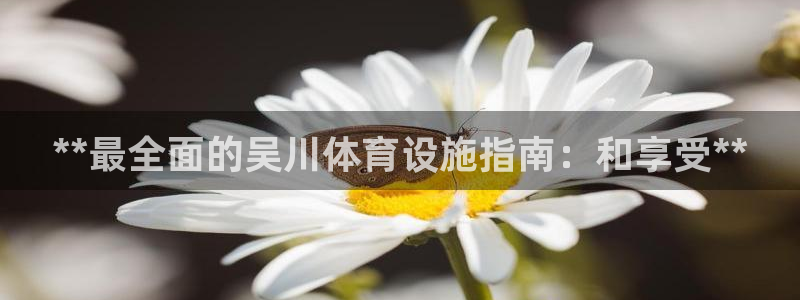 意昂3娱乐