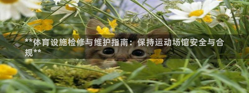 意昂体育3招商电话地址查询：**体育设施检修与维护指