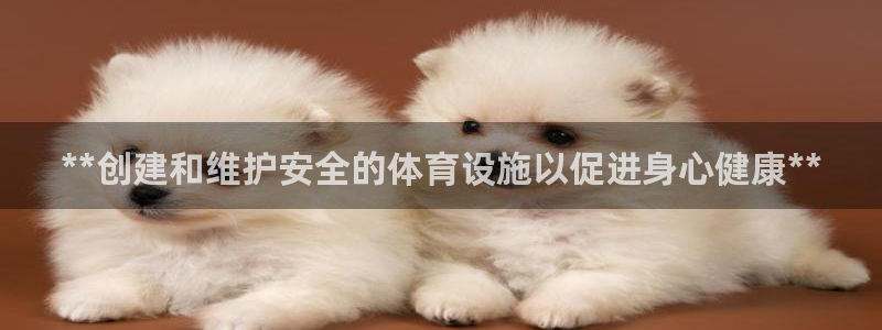 意昂体育3招商电话地址是多少：**创建和维护安全的体