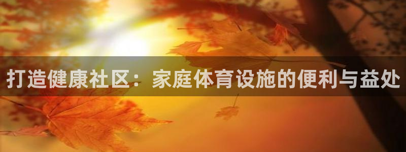 意昂体育3娱乐：打造健康社区：家庭体育设施的便利与益