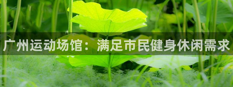 意昂3娱乐网站：广州运动场馆：满足市民健身休闲需求