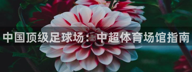 意昂3集团官网首页：中国顶级足球场：中超体育场馆指南