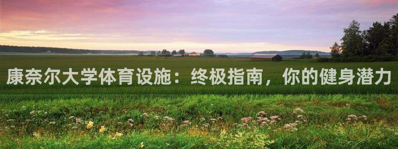 意昂3官网：康奈尔大学体育设施：终极指南，你的健身潜