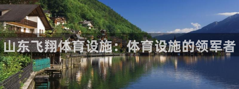 意昂3官网：山东飞翔体育设施：体育设施的领军者