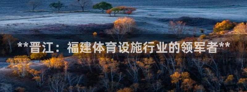 海南意昂体育3：**晋江：福建体育设施行业的领军者*