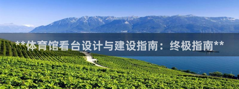 意昂体育3招商：**体育馆看台设计与建设指南：终极指