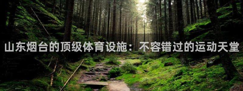 意昂体育3招商电话：山东烟台的顶级体育设施：不容错过