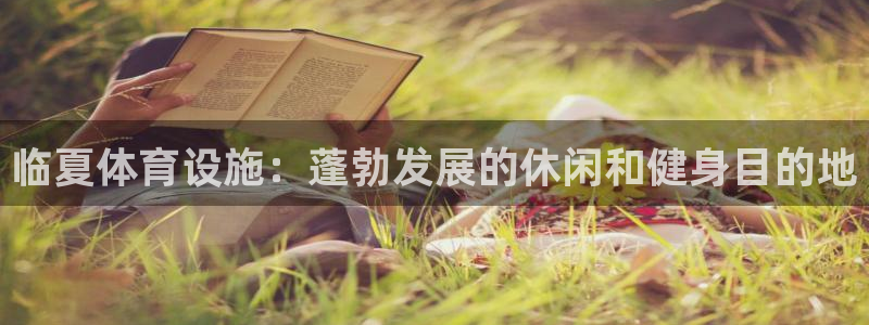 意昂3集团E.ON：临夏体育设施：蓬勃发展的休闲和健