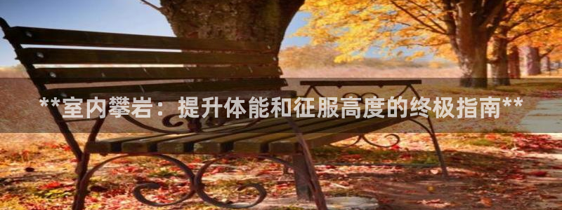 意昂体育3平台注册：**室内攀岩：提升体能和征服高度