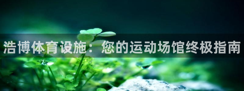 意昂体育3招商电话地址是多少：浩博体育设施：您的运动
