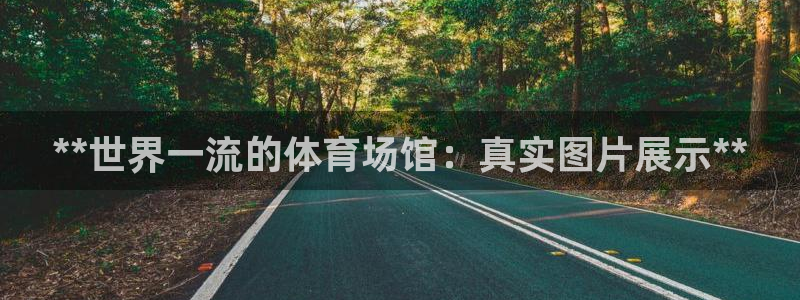 意昂体育3平台：**世界一流的体育场馆：真实图片展示