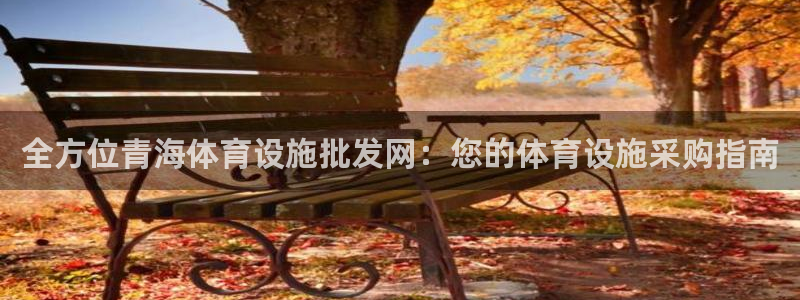 意昂体育3招商电话号码查询：全方位青海体育设施批发网