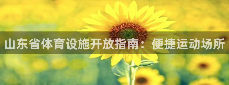 注册意昂3：山东省体育设施开放指南：便捷运动场所