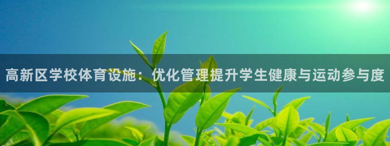 意昂集团官网：高新区学校体育设施：优化管理提升学生健