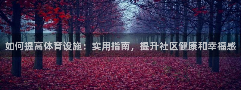 意昂体育3招商电话号码是多少号：如何提高体育设施：实