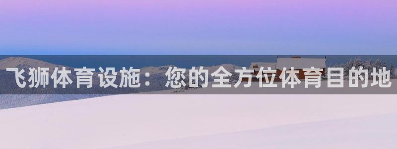 意昂体育3平台：飞狮体育设施：您的全方位体育目的地