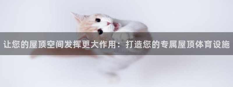 意昂体育3官方客服电话：让您的屋顶空间发挥更大作用：