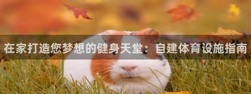 意昂体育3平台APP：在家打造您梦想的健身天堂：自建