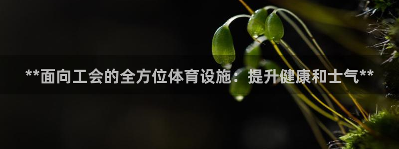 意昂体育3招商电话号码查询是多少：**面向工会的全方