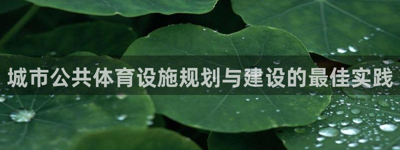 意昂3神州：城市公共体育设施规划与建设的最佳实践