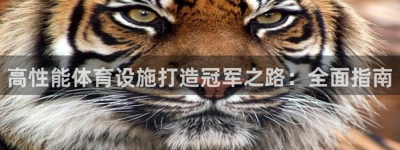 意昂体育3招商电话号码：高性能体育设施打造冠军之路：