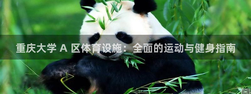意昂体育3娱乐：重庆大学 A 区体育设施：全面的运动