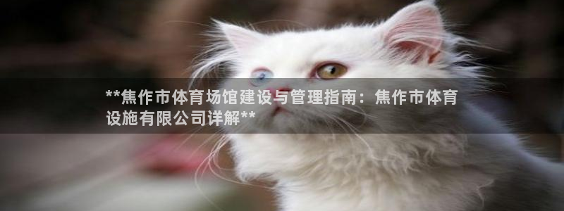 意昂3神州：**焦作市体育场馆建设与管理指南：焦作市