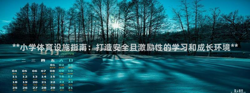 意昂3娱乐首页官网下载：**小学体育设施指南：打造安