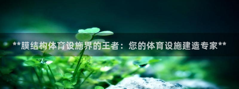 意昂3开户：**膜结构体育设施界的王者：您的体育设施