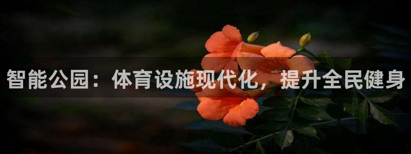 意昂3集团官网首页网址：智能公园：体育设施现代化，提