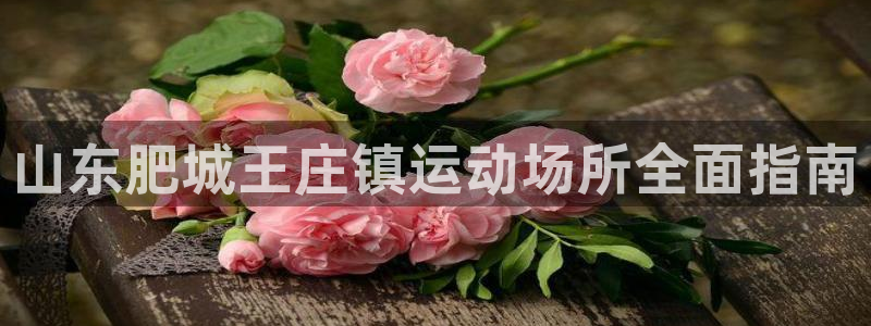 意昂体育3招商电话地址是多少：山东肥城王庄镇运动场所