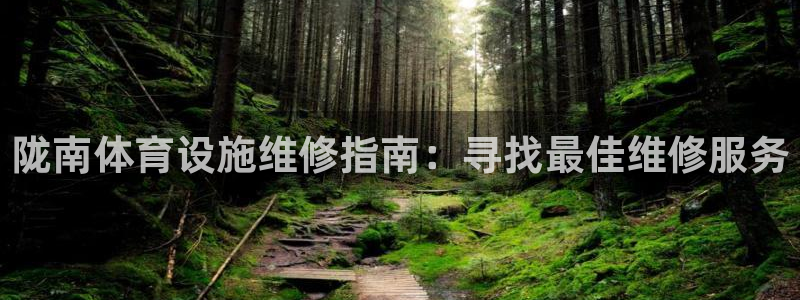意昂3科技：陇南体育设施维修指南：寻找最佳维修服务