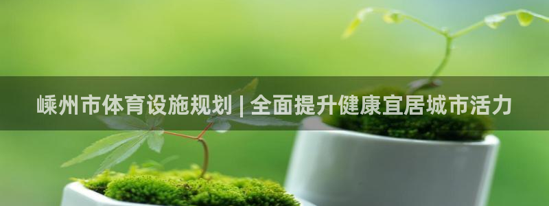 意昂3娱乐是那个系列的台子：嵊州市体育设施规划 | 